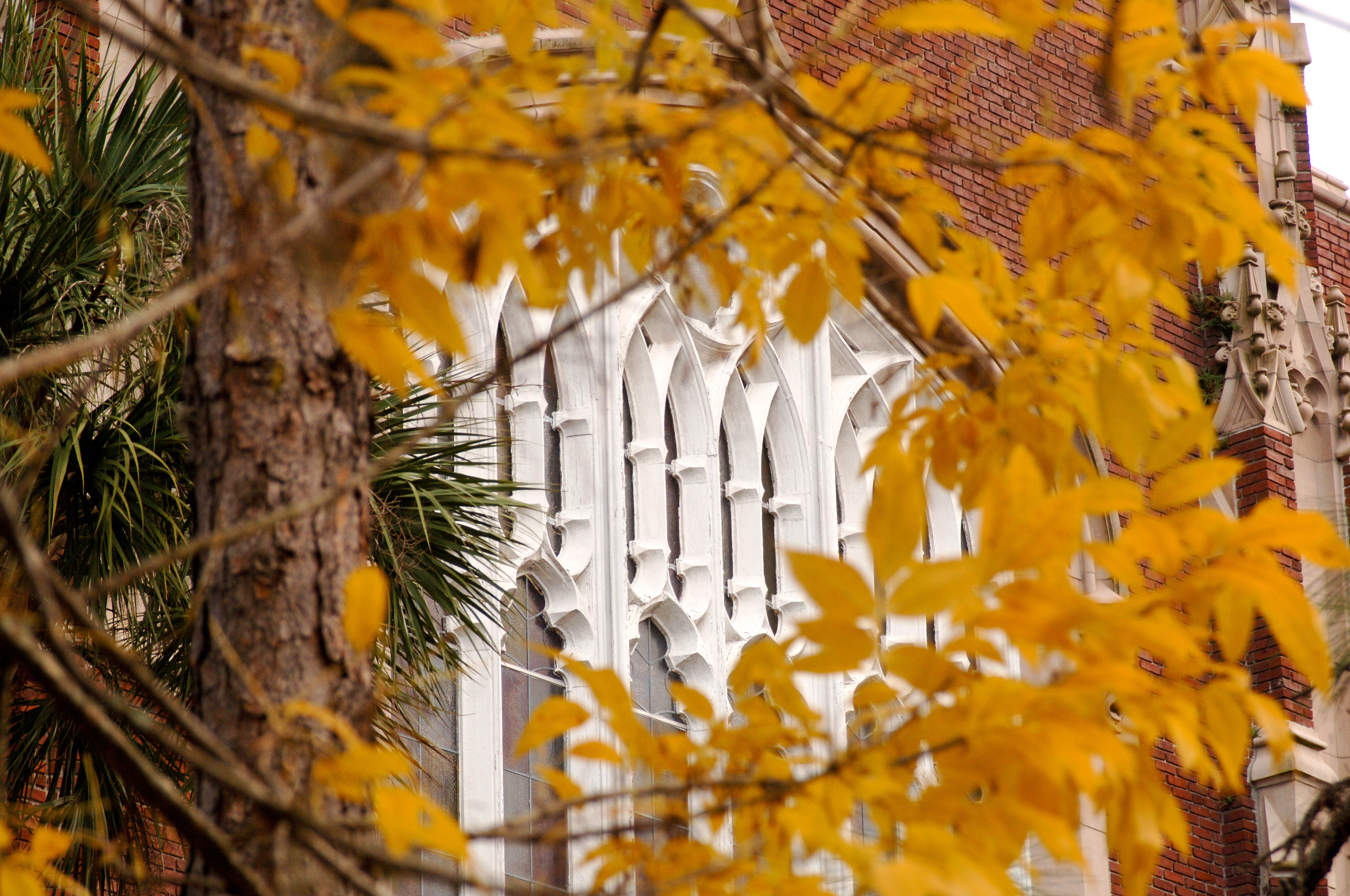 FACULTY AND POSTDOCS